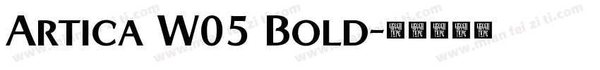 Artica W05 Bold字体转换